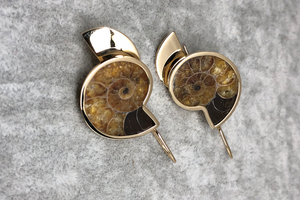 Chalcedony ammonite earrings - 玉化螺化石耳环 - aurumspeak