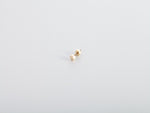 Gold Bolt Earrings - 金螺丝耳钉