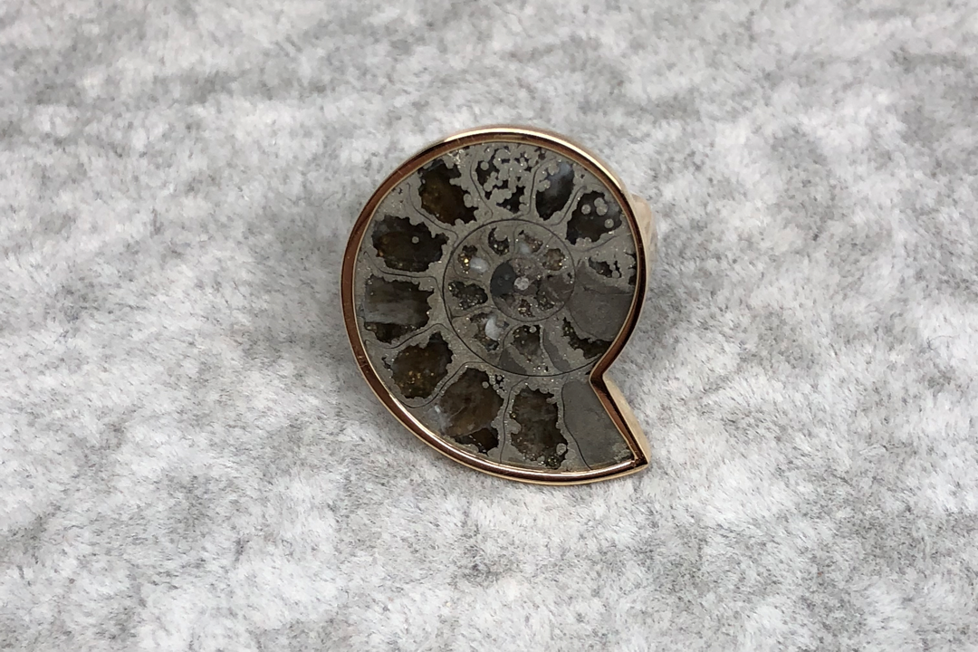 Metallized ammonite ring - 金属化螺化石戒指 - aurumspeak